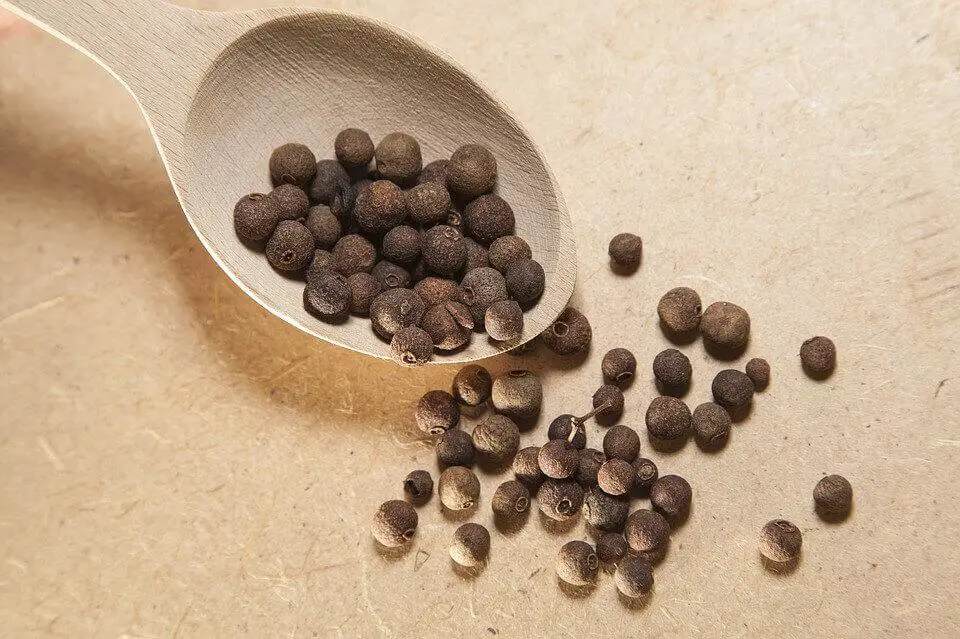 Health And Beauty Benefits of Allspice