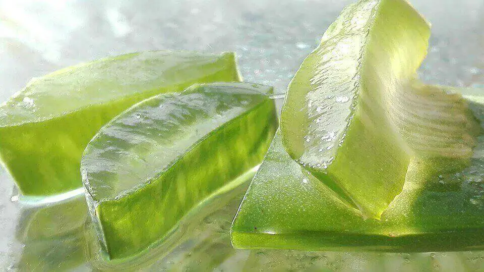 Side Effects of Eating too much aloe vera