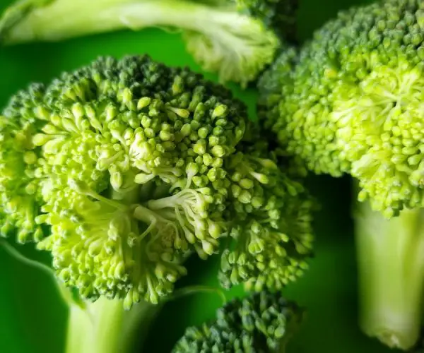does broccoli make you poop