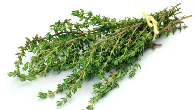 8 Side Effects of Thyme