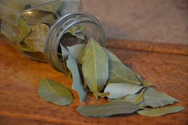 Health And Beauty Benefits of Bay Leaves