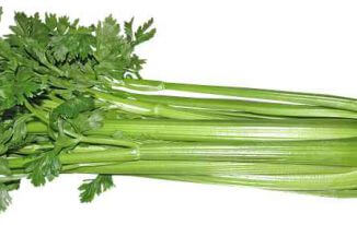 Celery Benefits And Side Effects