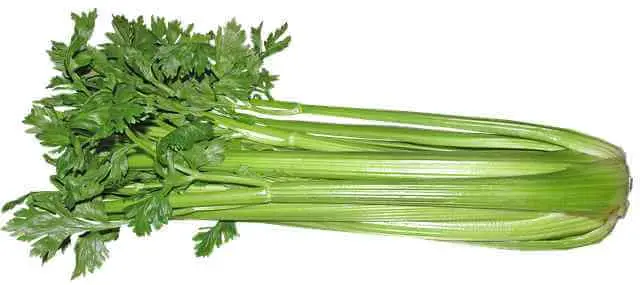 side effects of celery