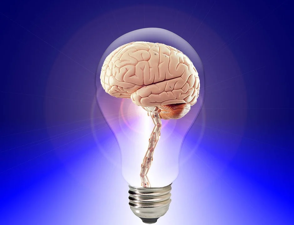 Sensorimotor Program: What Is It? How Does It Help?