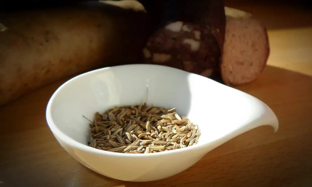 caraway seeds side effects
