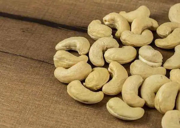 cashews and allergy