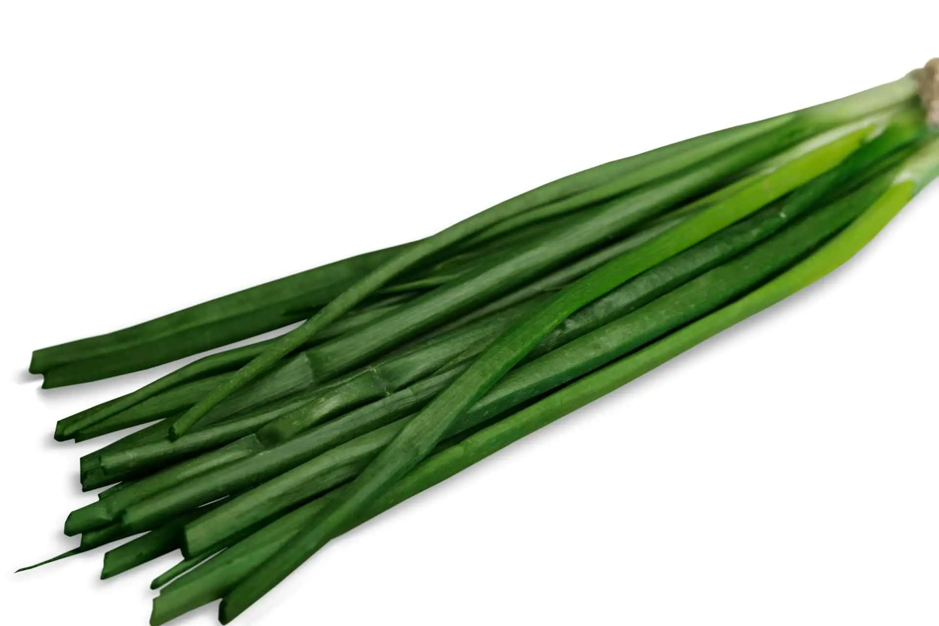 12 Major Benefits of Chives