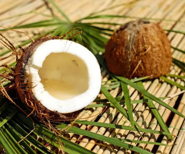coconut benefits