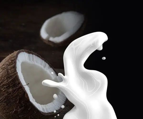 coconut milk Side Effects