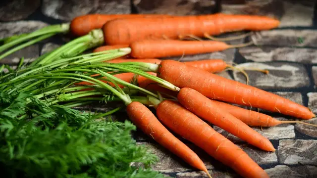 Does Carrot Make You Poop And Cause Diarrhea