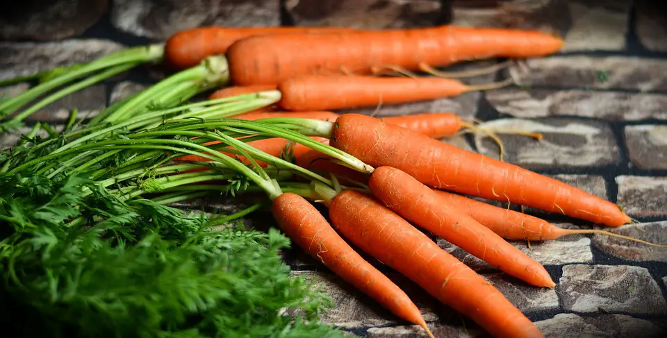 Does Carrot Make You Poop And Cause Diarrhea