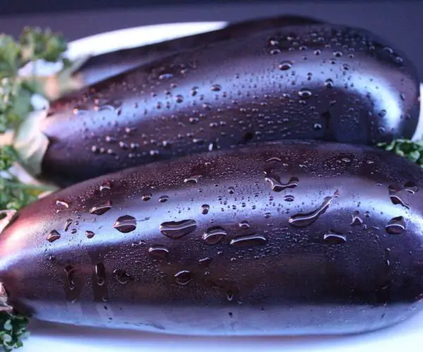 eggplant benefits