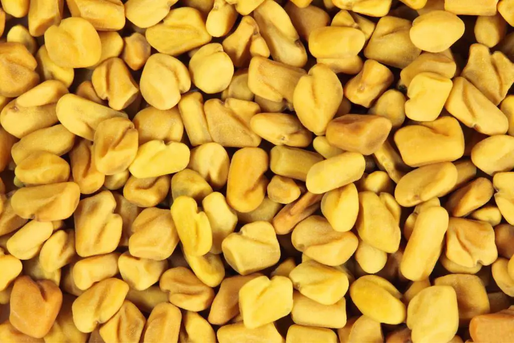 14 Benefits Of Fenugreek Seeds