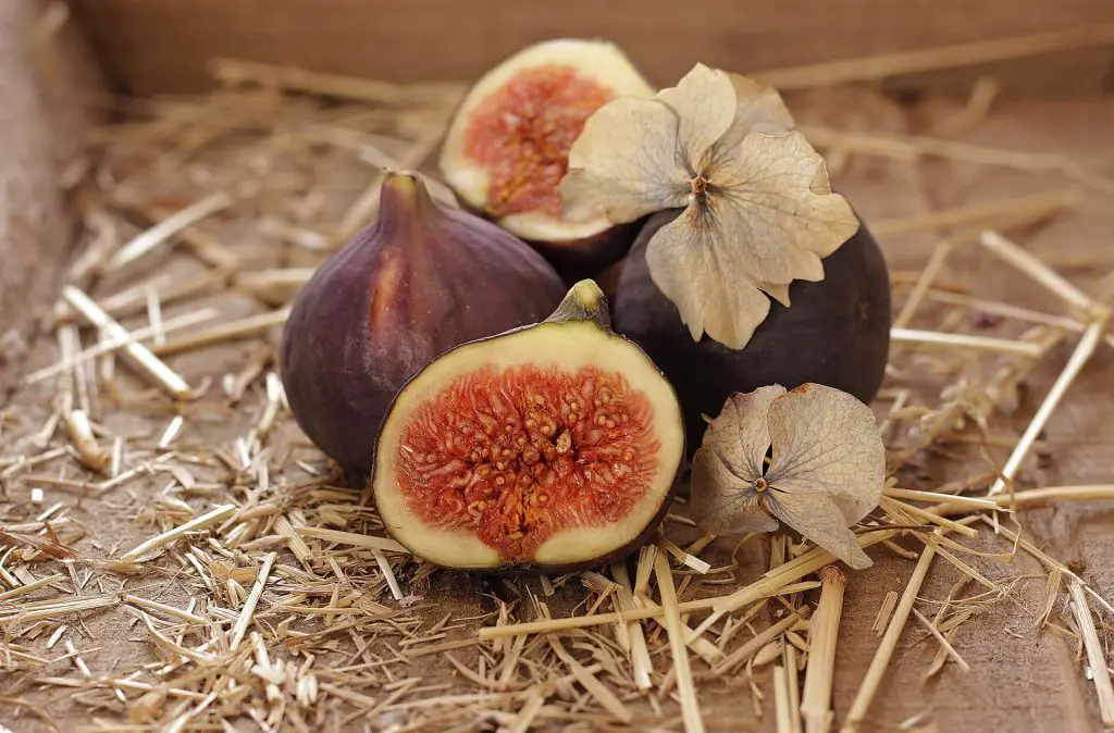 figs side effects