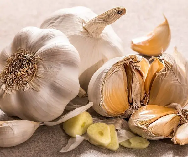 side effects of garlic