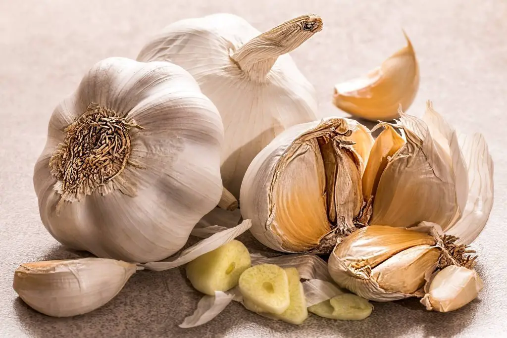 16 Major Garlic Side Effects