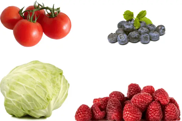 20 Best Foods For Better Kidney Health
