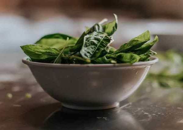 impact of oxalates in spinach on health