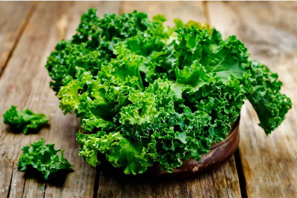 Are there any side effects if you eat too much kale or other green leafy  vegetables? - Quora