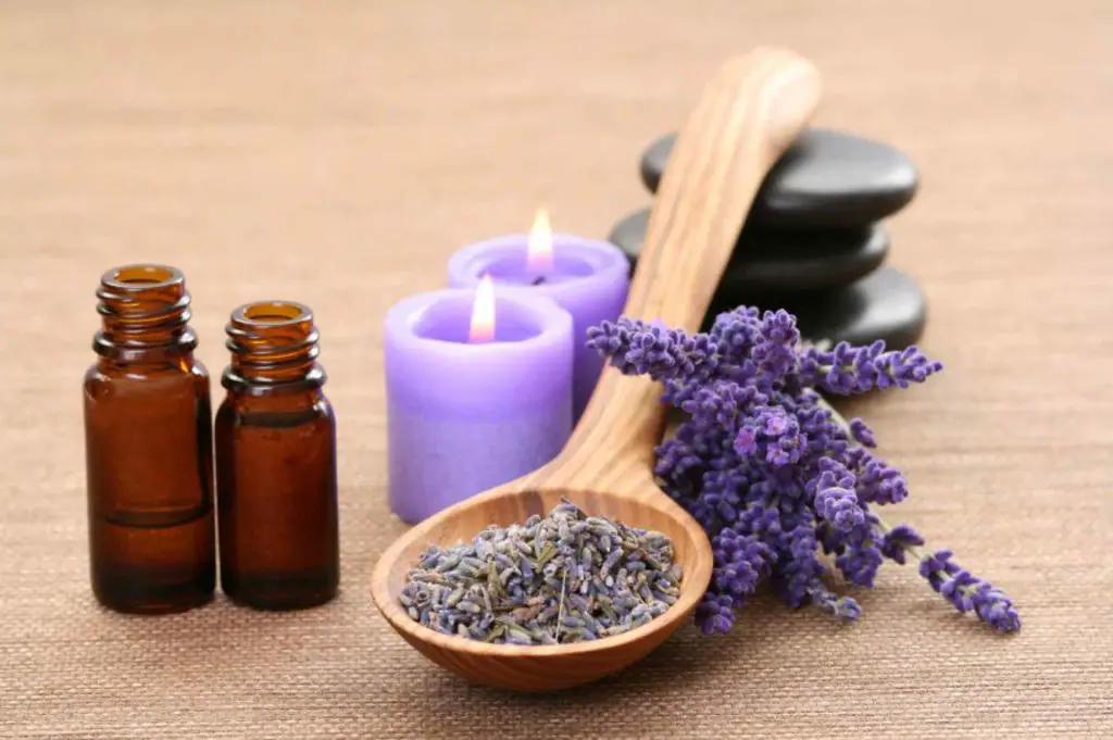 37 Benefits of lavender essential oil