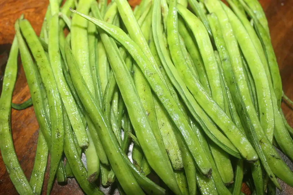 11 Benefits of Cluster Beans
