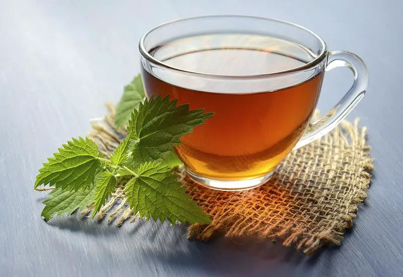 16 Benefits of Parsley Tea