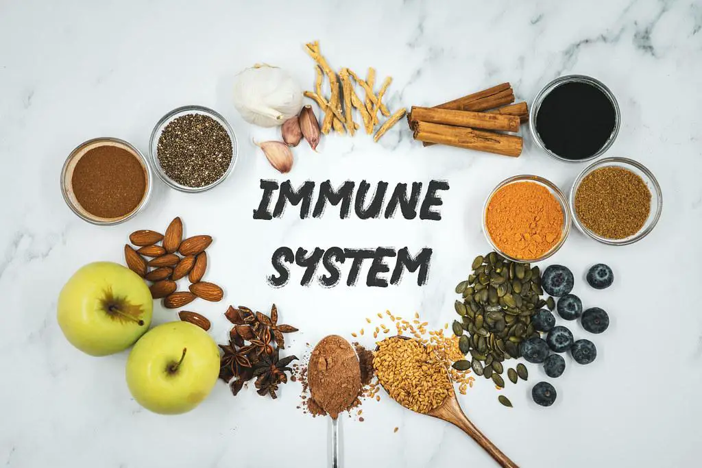 How To Strengthen Immune System