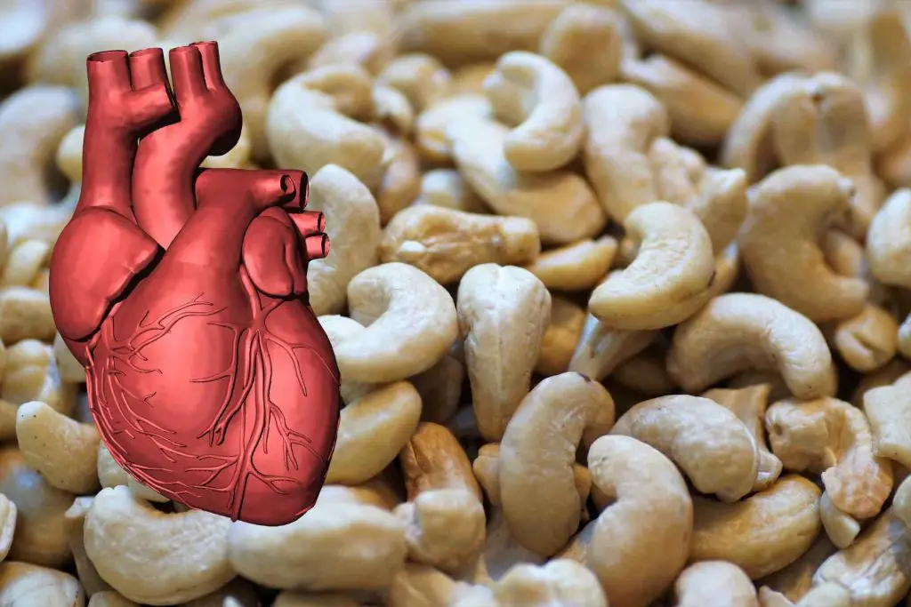 Are Cashews Good For Your Heart?