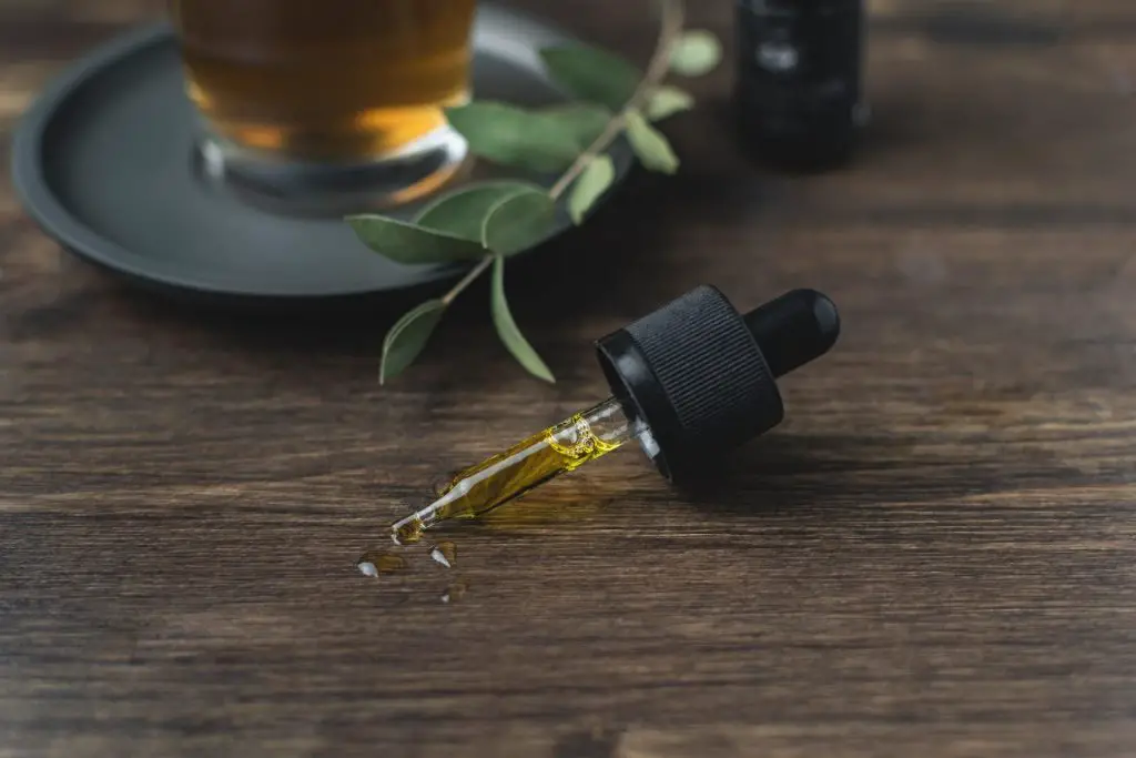 Terpene oil: What is it and what are its benefits?