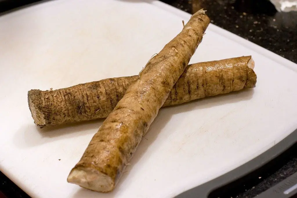 10 Amazing Benefits of Burdock Roots