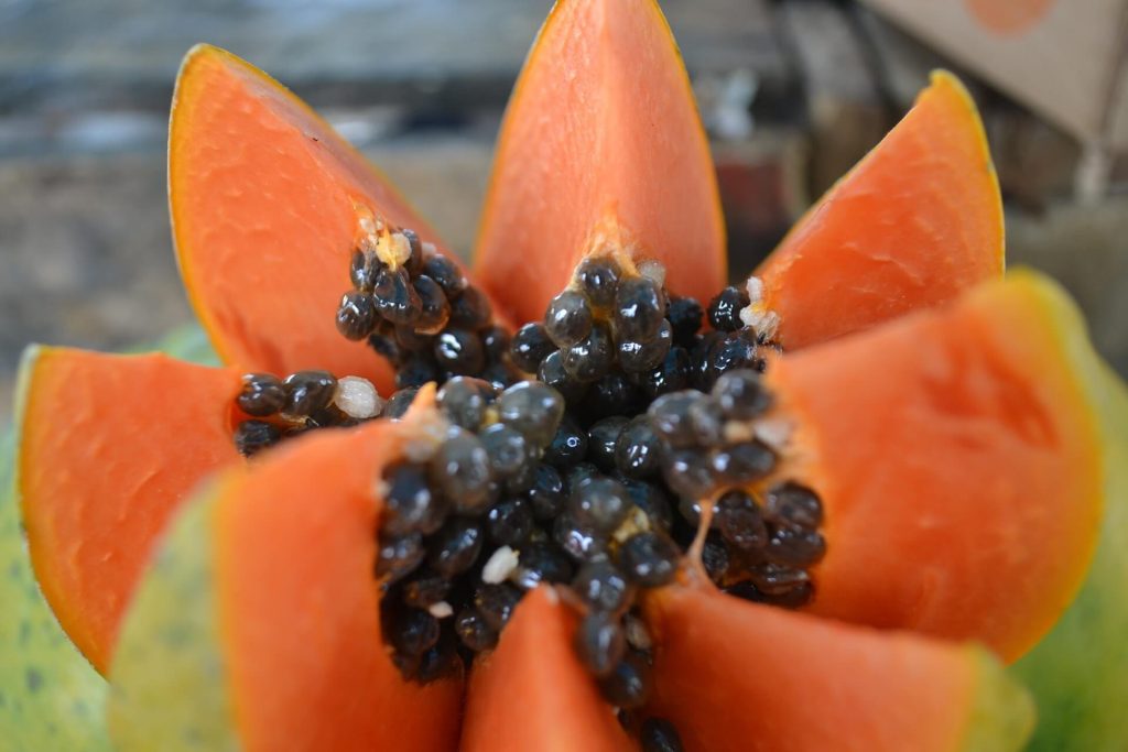 28 Amazing Benefits of Papaya
