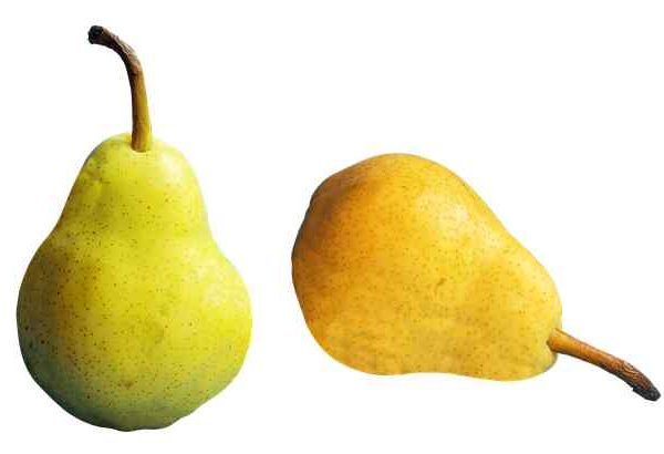 dangers of fiber overload from overeating pears