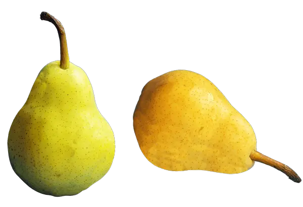 pears and digestive health