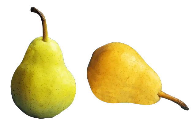 Pears And Digestive Health