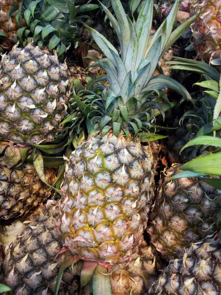 11 Side Effects of Pineapples