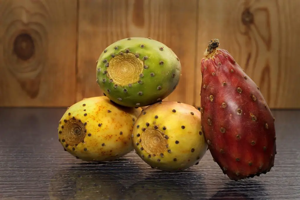 8 Side Effects Of Prickly Pears