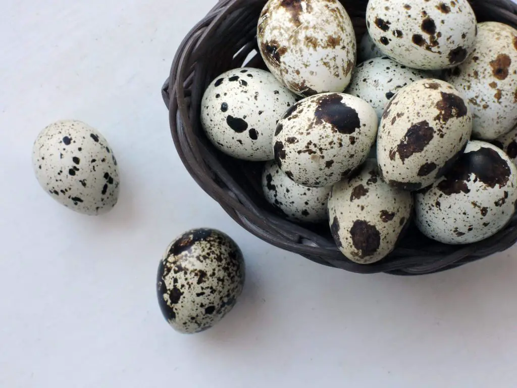 38 Amazing Benefits Of Quail Eggs