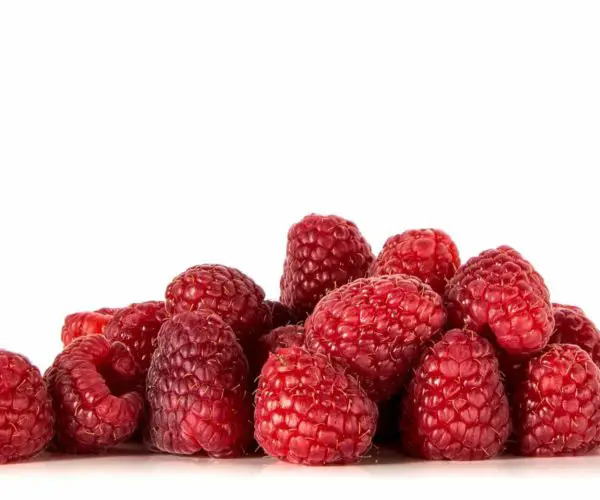 raspberries benefits