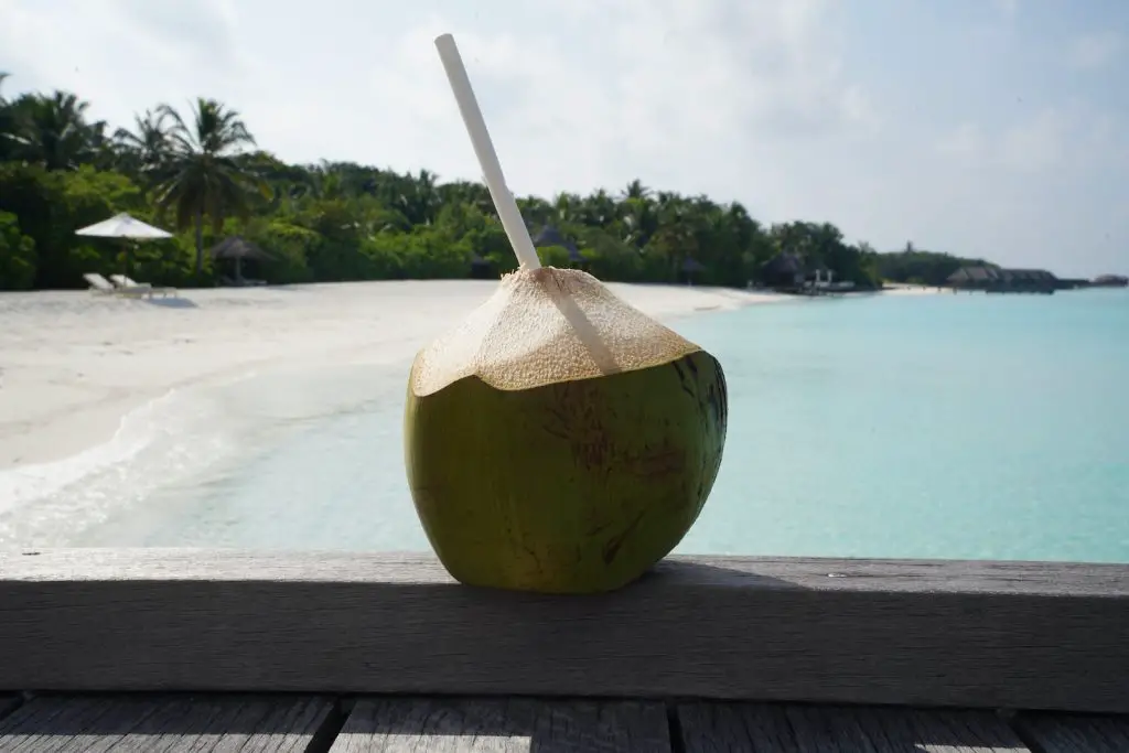 does-coconut-water-make-you-poop