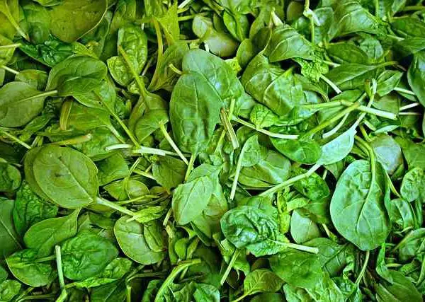 spinach and heart health