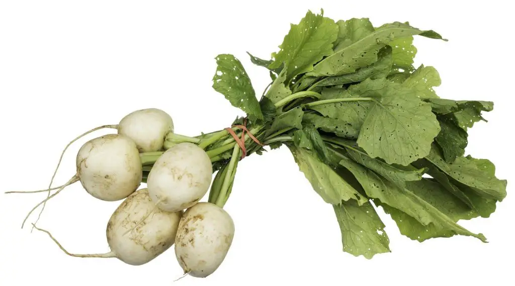 turnip side effects