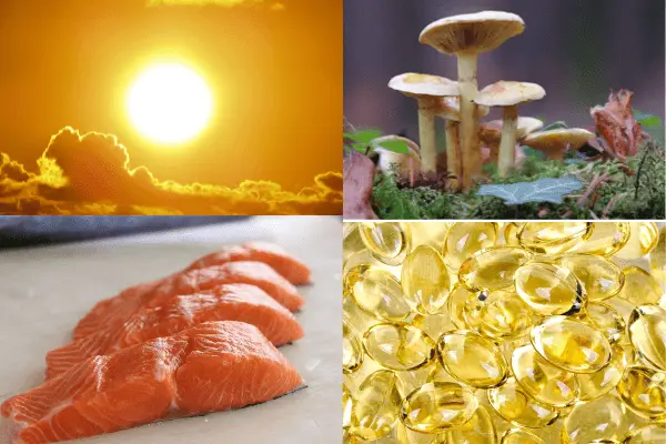 vitamin d rich foods