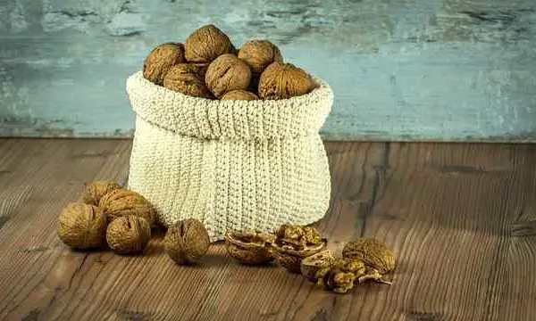 walnuts for weight loss