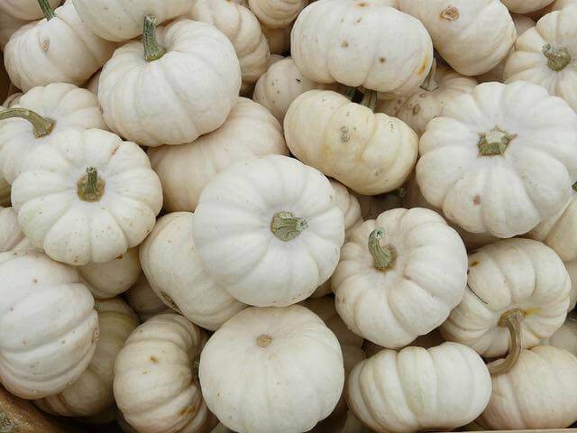 Health Benefits of White Pumpkins