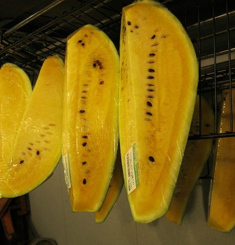 yellow watermelon and weight loss