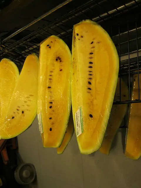 Yellow Watermelon And Weight Loss